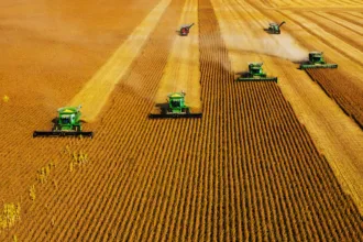 AI powered Precision Agriculture and Farm Management 1