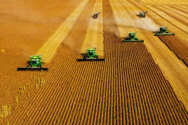 AI powered Precision Agriculture and Farm Management 1