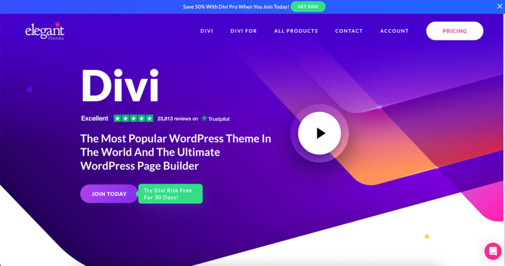 Best wordpress themes: divi